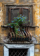 In need of repair
